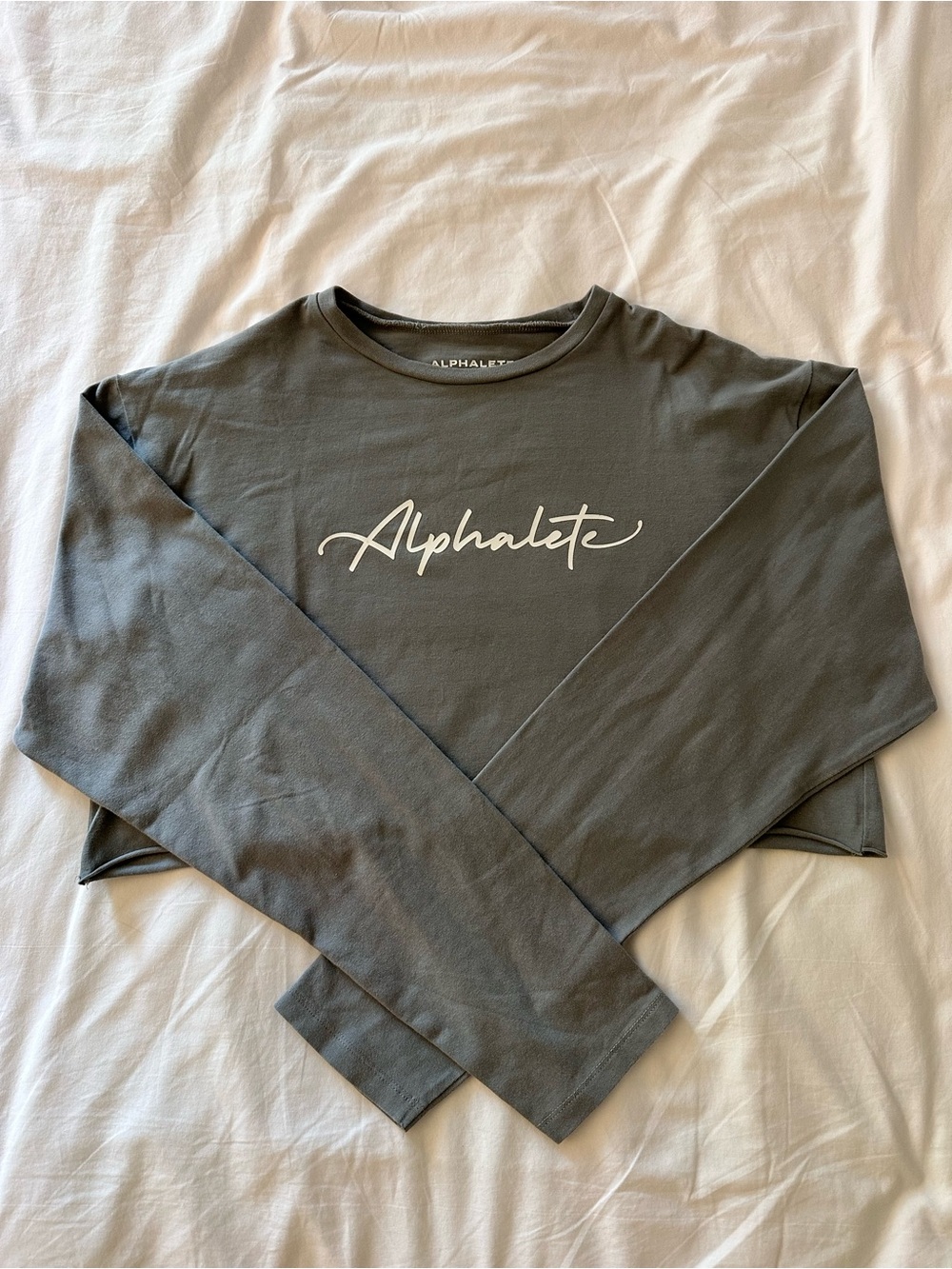 Alphalete Long Sleeve Crop Top in Slate